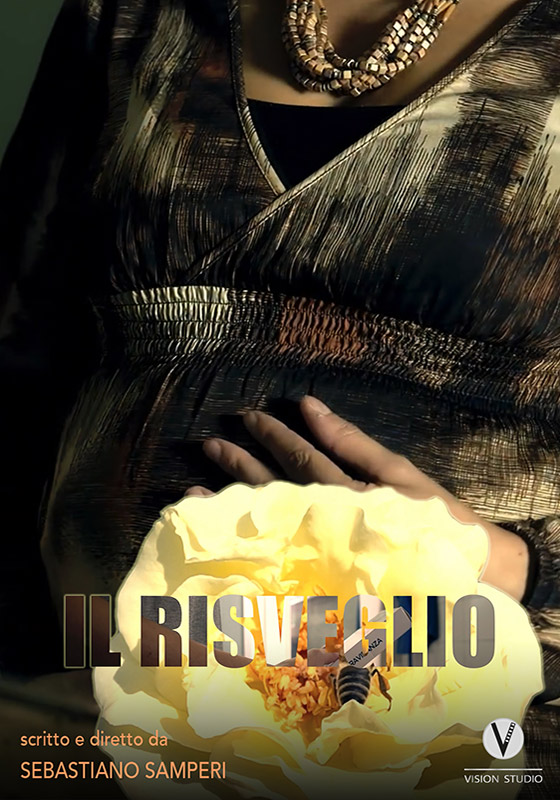 Il risveglio