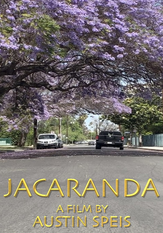 Jacaranda
