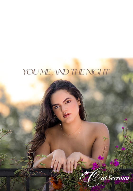 You, Me and the Night